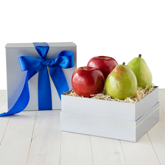 Silver-Fruit-Box